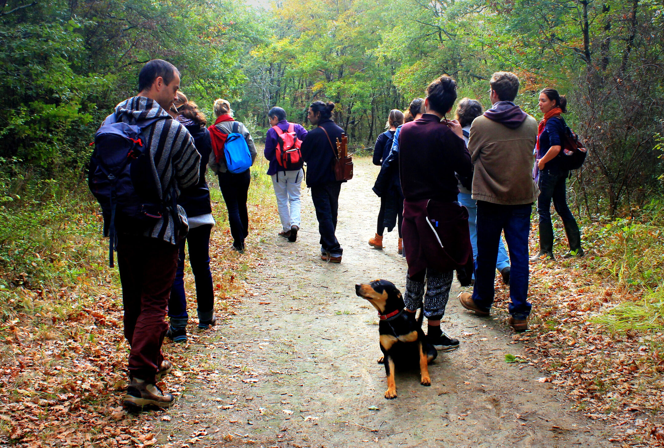 Herbopolis - Balade bota